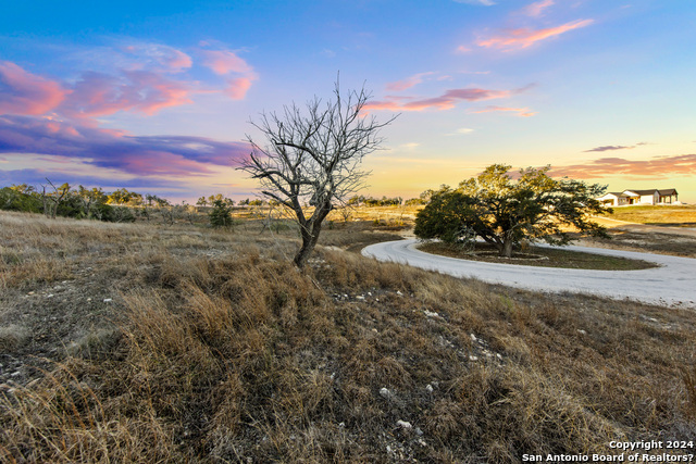 Image 6 of 40 For Lot 12 Purple Sage Trl