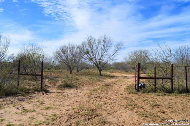 Listing photo id 9 for 9149 Us Highway 83 N