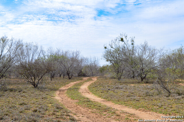 Listing photo id 12 for 9149 Us Highway 83 N