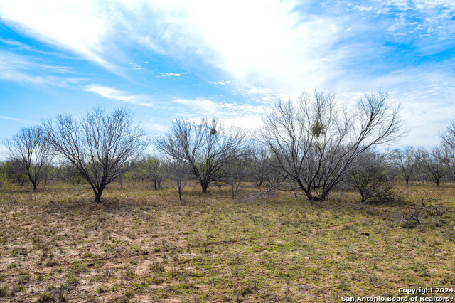 Listing photo id 13 for 9149 Us Highway 83 N