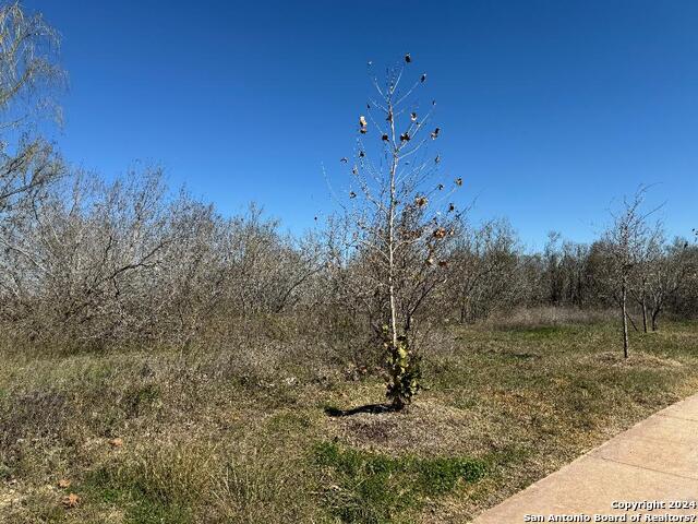 Image 7 of 7 For 0 Castroville Rd