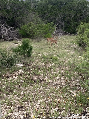 Image 18 of 25 For Lots 28 And 40 Leona Ranch