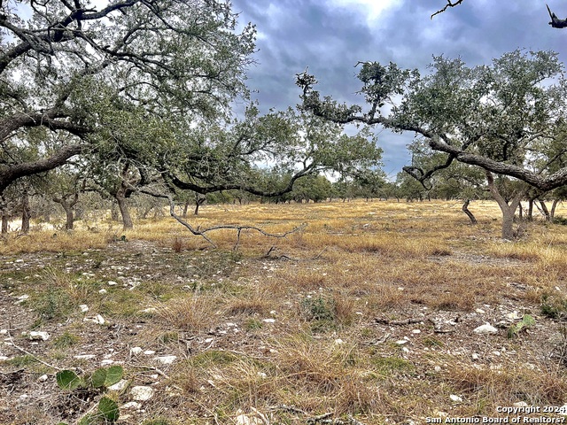 Details for Lot 8 Cattlemans Crossing, Kerrville, TX 78028