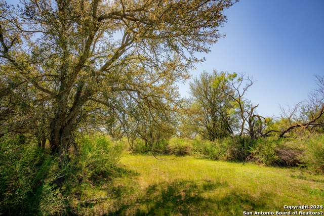 Details for 799 Cr 144  , San Saba, TX 76877