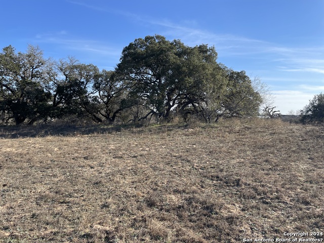 Image 11 of 11 For Lot #35 10.19ac Fm 7755