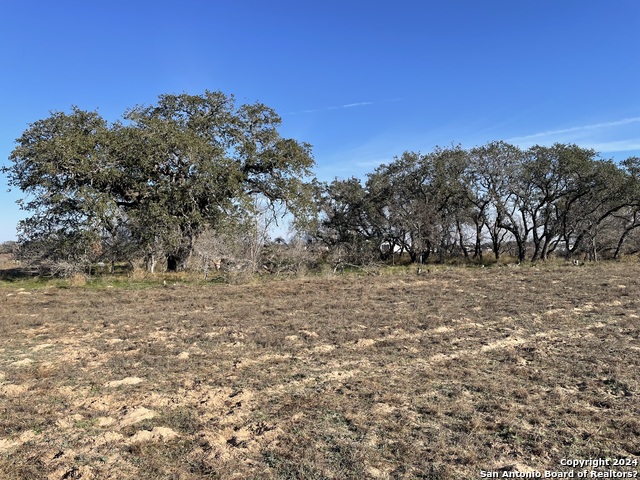 Image 2 of 11 For Lot #35 10.19ac Fm 7755