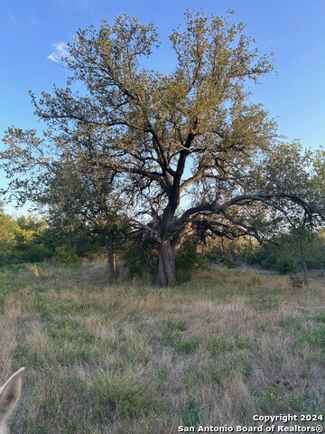 Image 17 of 22 For 000 County Road 562