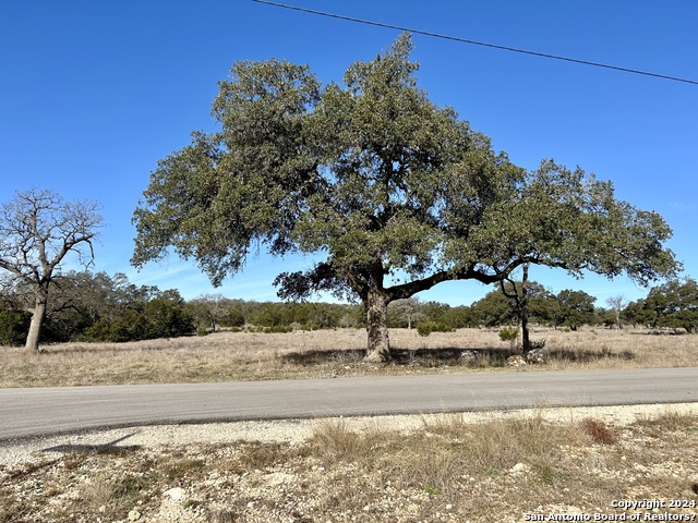 Image 14 of 34 For 32568 Tierra Robles Dr