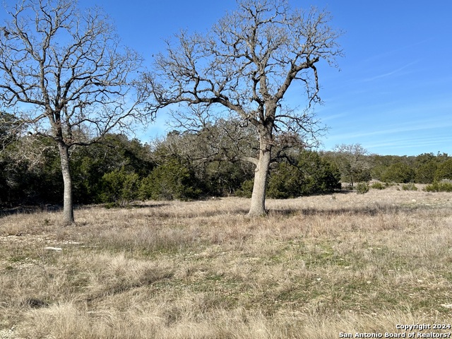 Image 16 of 34 For 32568 Tierra Robles Dr