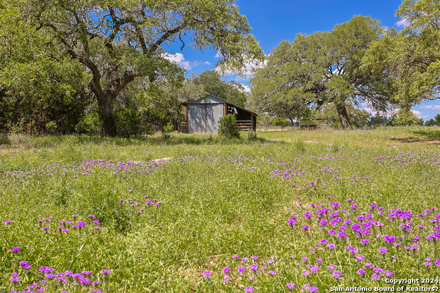 Image 4 of 34 For 32568 Tierra Robles Dr