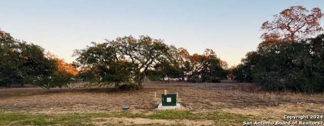 Image 4 of 14 For 34722 Shelly Bridge Pt