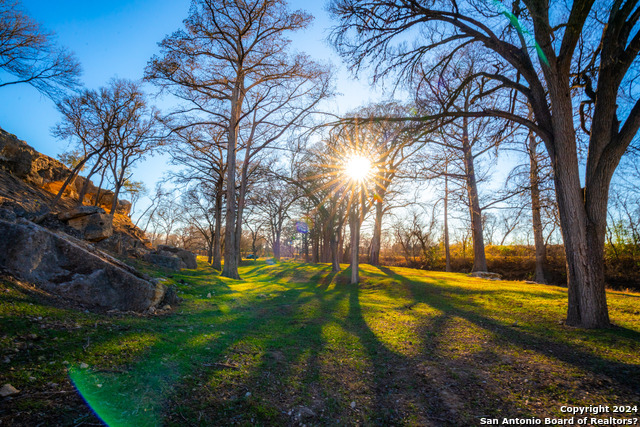 Listing photo id 29 for 608 Creek Rd N