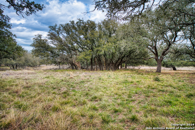 Image 10 of 14 For Lot 15 Legacy Oaks Dr