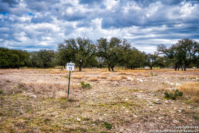 Image 6 of 14 For Lot 15 Legacy Oaks Dr