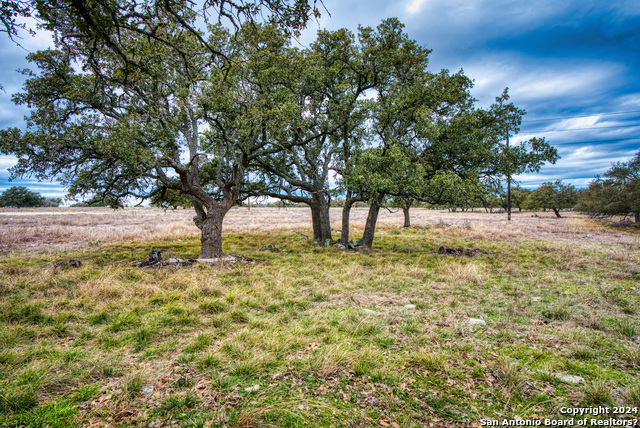 Image 8 of 14 For Lot 15 Legacy Oaks Dr