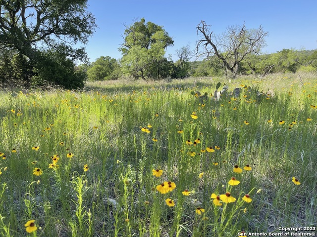 Details for 101 Whitetail Trail, San Saba, TX 76877