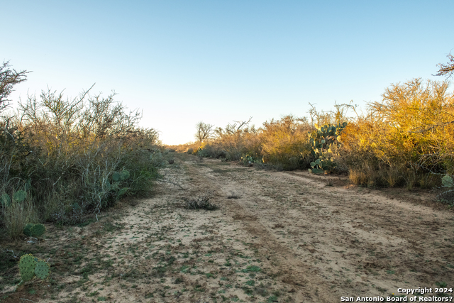 Image 15 of 30 For 000 County Road 300