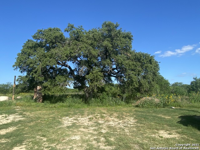 Image 2 of 16 For 16196 S Us Highway 281