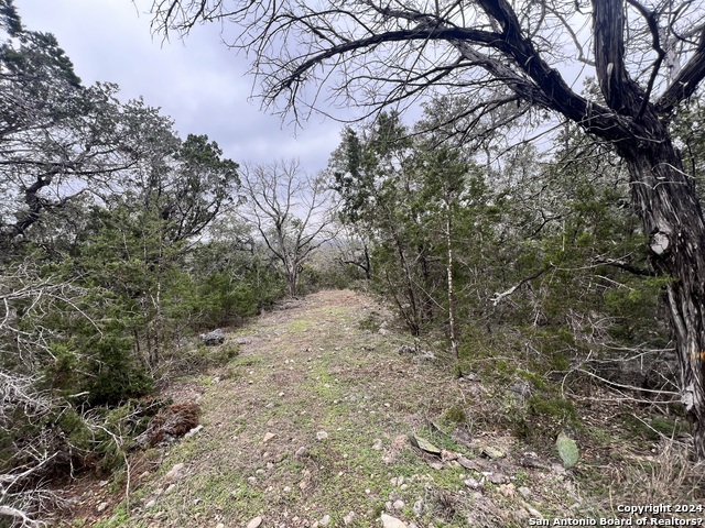 Details for 447 Coyote Trail, Spring Branch, TX 78070