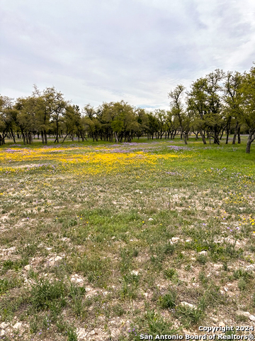 Image 19 of 38 For 1058 County Road 470