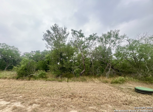 Details for Lot 9 Wisteria Lane, Smiley, TX 78159