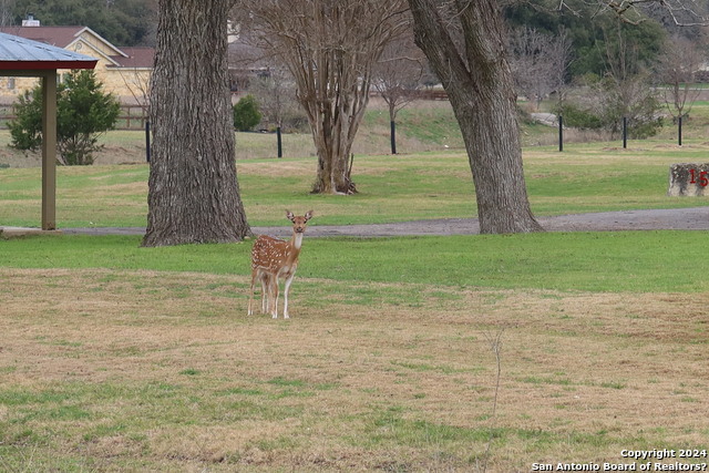 Image 35 of 43 For 178 Spring Creek Circle