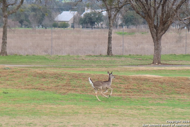 Image 39 of 43 For 178 Spring Creek Circle