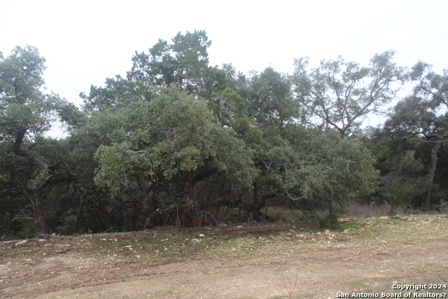 Image 16 of 20 For 170 Drotar Bay