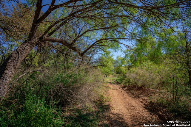 Image 9 of 9 For 000 Tx-16  