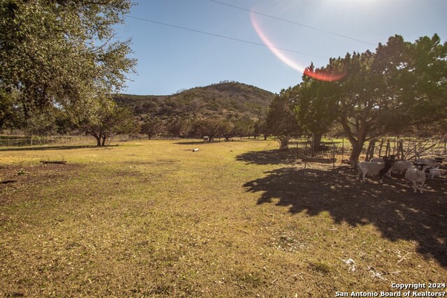 Listing photo id 8 for 195 Canyon Rd