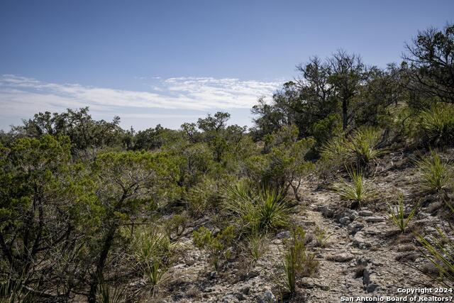 Image 12 of 21 For 29035 Verde Mountain Trail