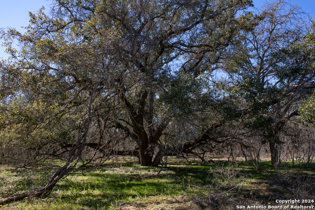 Image 10 of 30 For 1382 And 1384 County Road 326