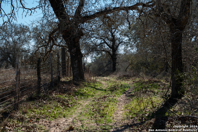 Image 19 of 30 For 1382 And 1384 County Road 326