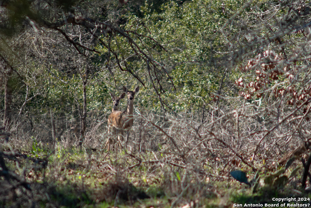 Image 20 of 30 For 1382 And 1384 County Road 326