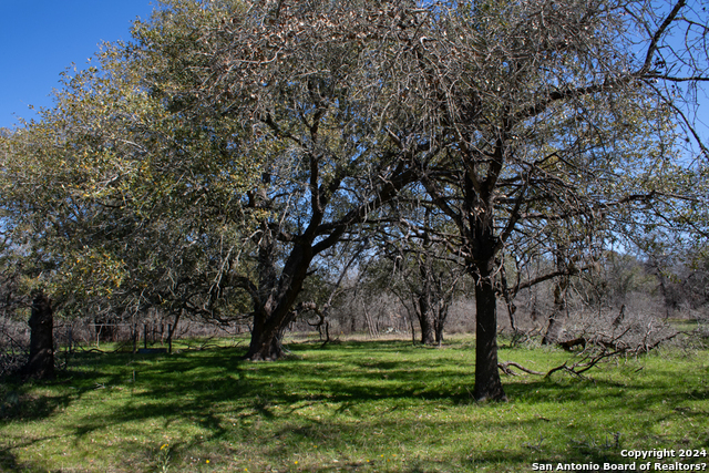 Image 8 of 30 For 1382 And 1384 County Road 326