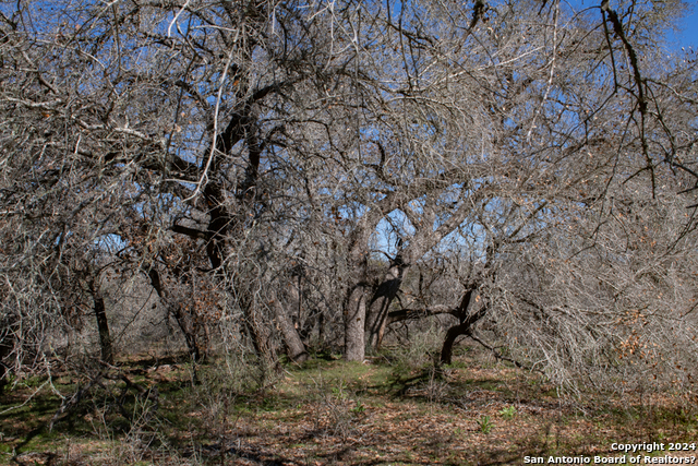 Image 9 of 30 For 1382 And 1384 County Road 326