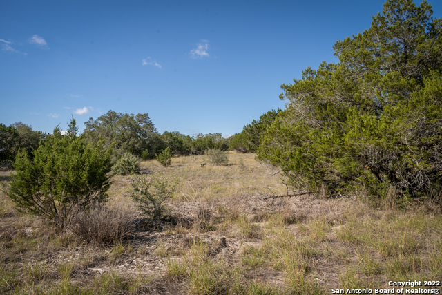 Image 10 of 28 For Lot 393 Palomino Springs