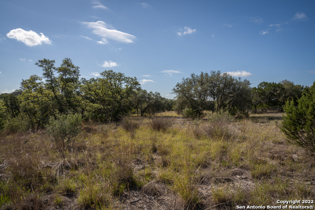 Image 11 of 28 For Lot 393 Palomino Springs