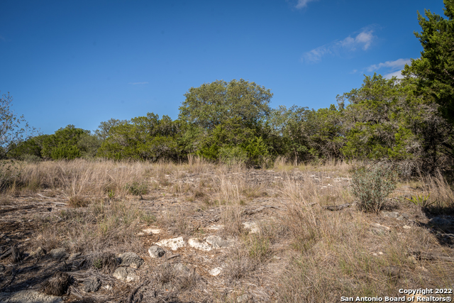 Image 13 of 28 For Lot 393 Palomino Springs