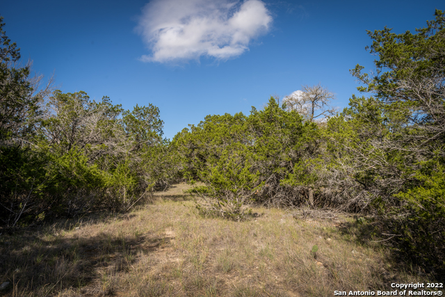 Image 16 of 28 For Lot 393 Palomino Springs