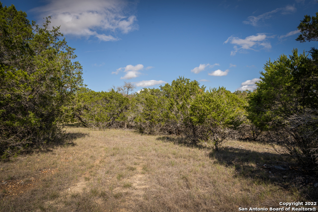 Image 17 of 28 For Lot 393 Palomino Springs