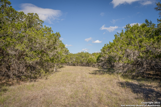 Image 18 of 28 For Lot 393 Palomino Springs