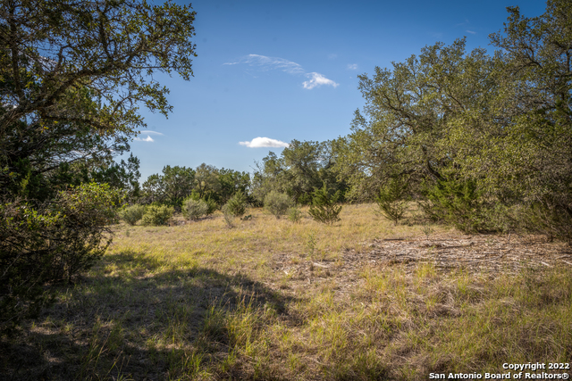 Image 19 of 28 For Lot 393 Palomino Springs