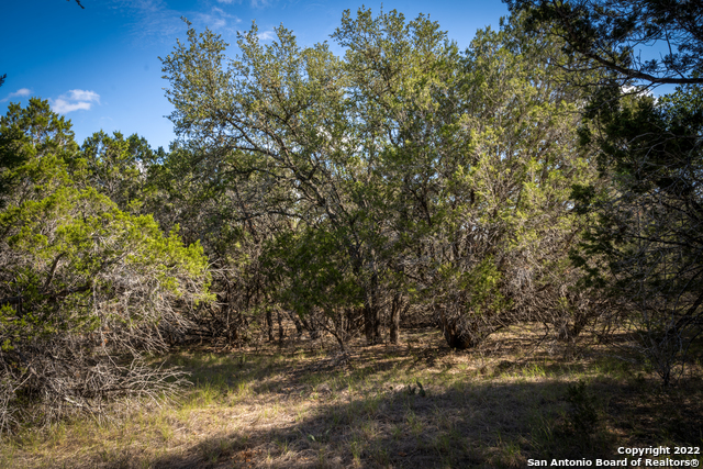 Image 22 of 28 For Lot 393 Palomino Springs