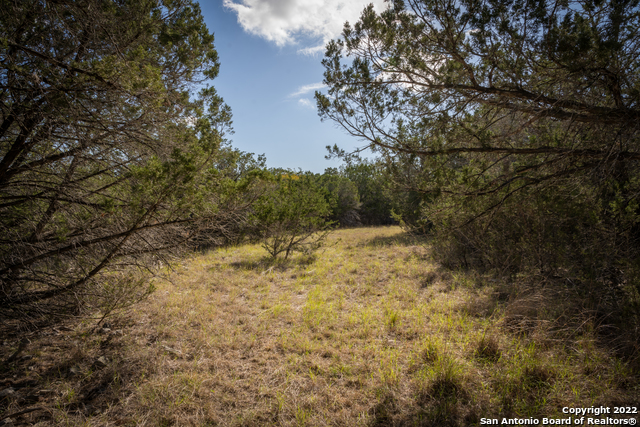 Image 26 of 28 For Lot 393 Palomino Springs