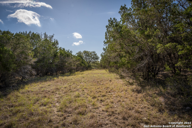 Image 27 of 28 For Lot 393 Palomino Springs