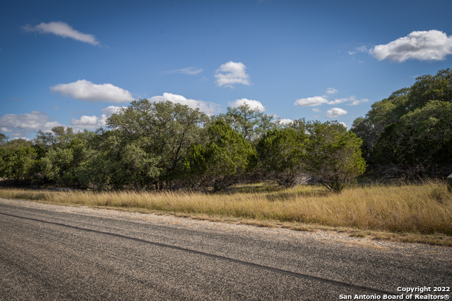 Image 28 of 28 For Lot 393 Palomino Springs