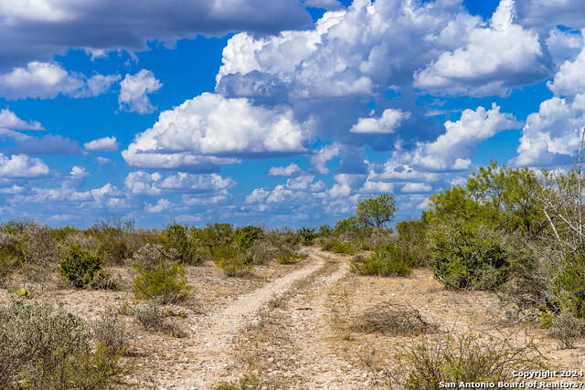 Image 21 of 42 For 2217 S Us Highway 83