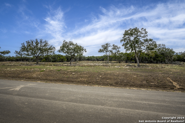 Image 11 of 23 For 40 Sotol Ln  