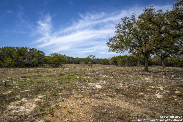 Image 15 of 23 For 40 Sotol Ln  